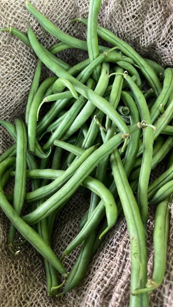 Beans