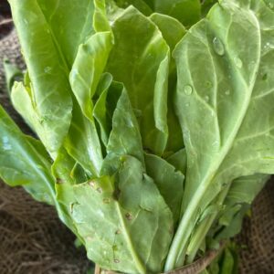 Palak (Spinach)