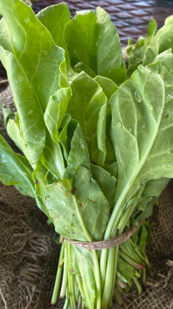 Palak (Spinach)