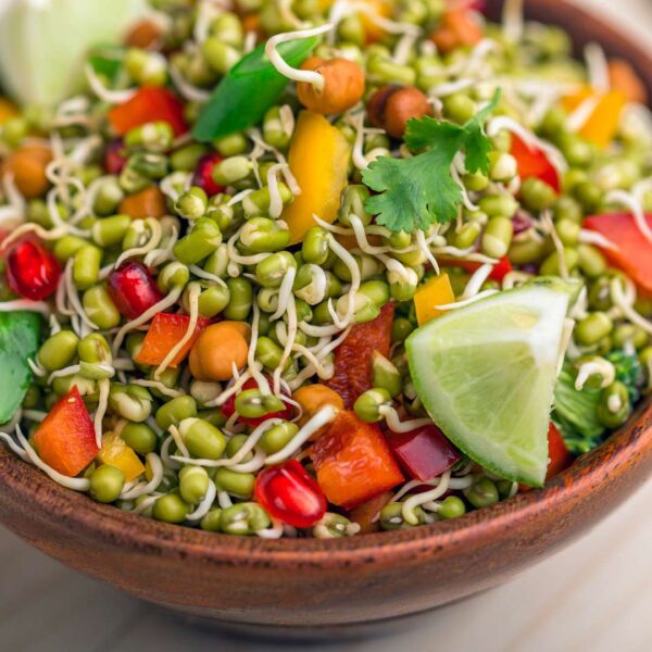 High Nutrient Sprout Salad