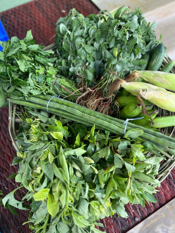 Diabetic Friendly Greens